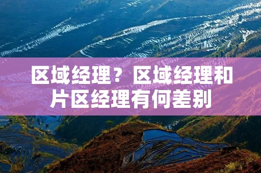 区域经理?区域经理和片区经理有何差别 区域经理?区域经理和片区经理有何差别