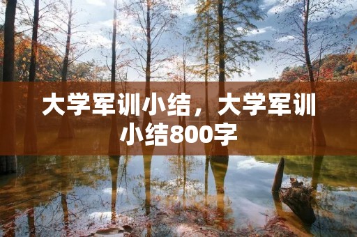 大学军训小结,大学军训小结800字