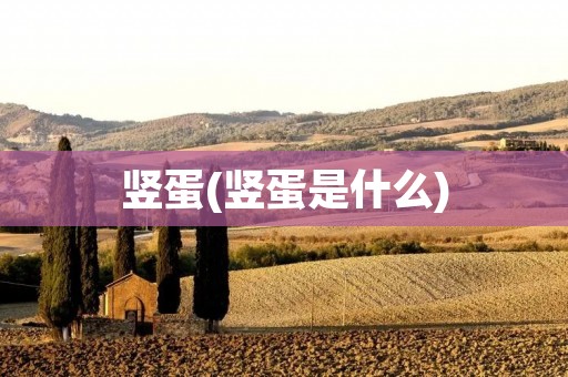 竖蛋(竖蛋是什么)