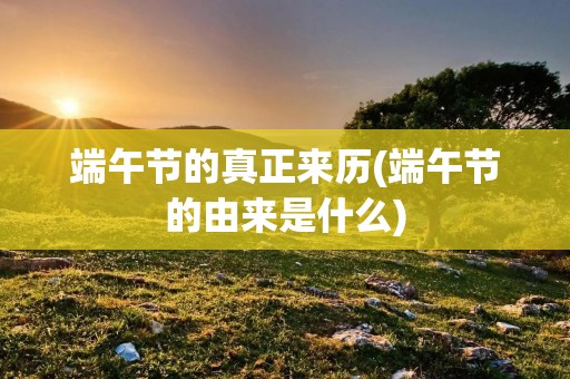 端午节的真正来历(端午节的由来是什么) 端午节的真正来历(端午节的由来是什么)