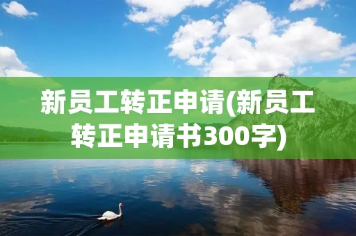 新员工转正申请(新员工转正申请书300字)