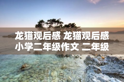 龙猫观后感 龙猫观后感小学二年级作文 二年级写龙猫观后感 龙猫观后感 龙猫观后感小学二年级作文 二年级写龙猫观后感