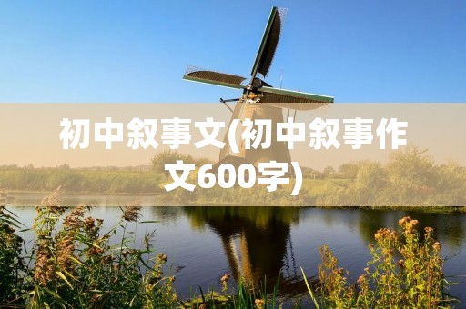初中叙事文(初中叙事作文600字)
