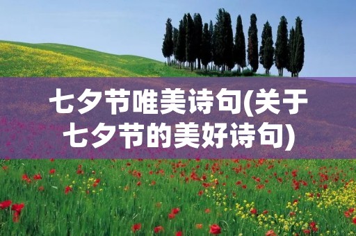 七夕节唯美诗句(关于七夕节的美好诗句) 七夕节唯美诗句(关于七夕节的美好诗句)