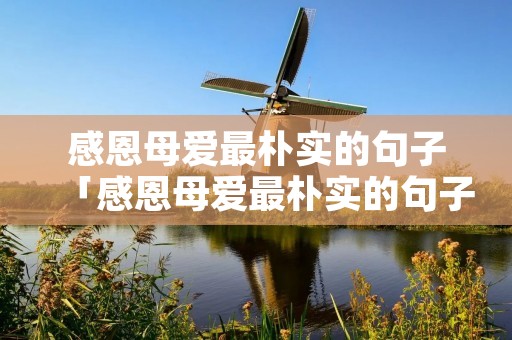 感恩母爱最朴实的句子「感恩母爱最朴实的句子300字」