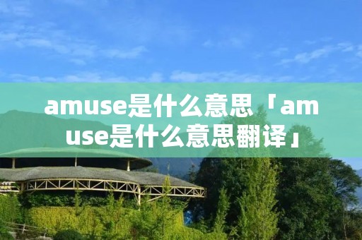 amuse是什么意思「amuse是什么意思翻译」