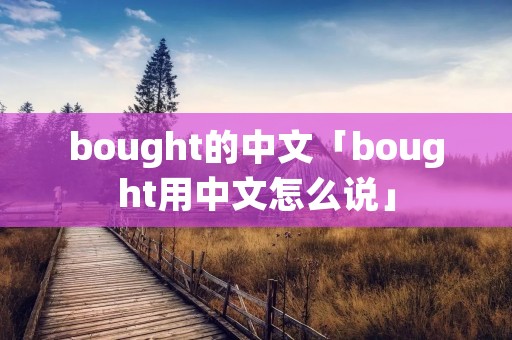 bought的中文「bought用中文怎么说」