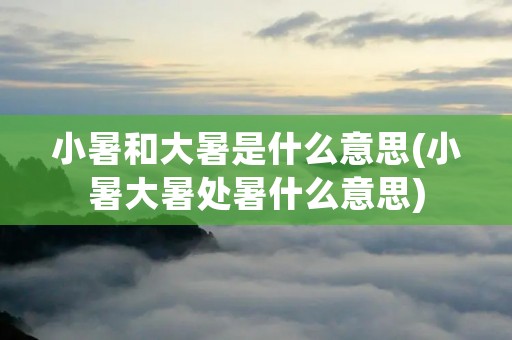 小暑和大暑是什么意思(小暑大暑处暑什么意思) 小暑和大暑是什么意思(小暑大暑处暑什么意思)