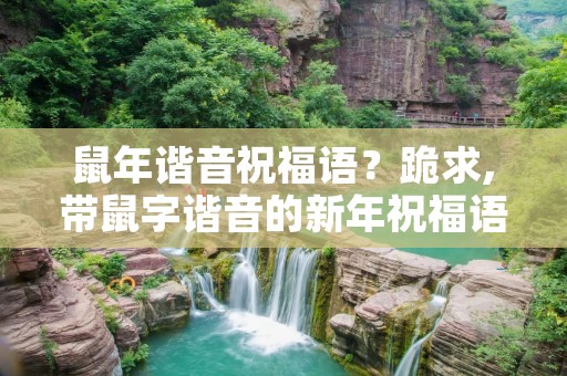 鼠年谐音祝福语?跪求,带鼠字谐音的新年祝福语 鼠年谐音祝福语?跪求,带鼠字谐音的新年祝福语