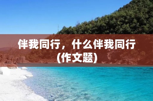 伴我同行,什么伴我同行(作文题)