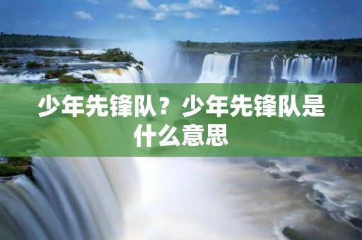 少年先锋队?少年先锋队是什么意思