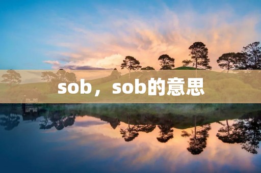 sob,sob的意思