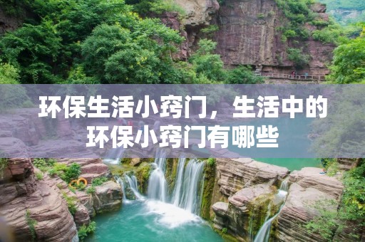 环保生活小窍门,生活中的环保小窍门有哪些