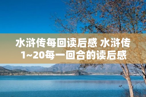 水浒传每回读后感 水浒传1~20每一回合的读后感