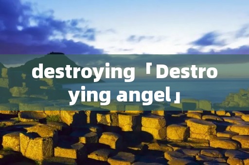 destroying「Destroying angel」