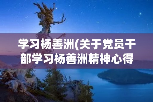 学习杨善洲(关于党员干部学习杨善洲精神心得体会范文精选四篇)