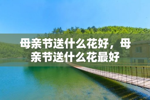 母亲节送什么花好,母亲节送什么花最好