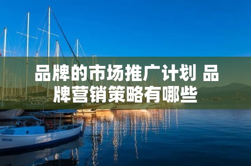 品牌的市场推广计划 品牌营销策略有哪些 品牌的市场推广计划 品牌营销策略有哪些