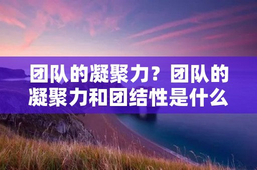 团队的凝聚力？团队的凝聚力和团结性是什么