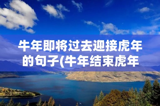 牛年即将过去迎接虎年的句子(牛年结束虎年开启语录有哪些)