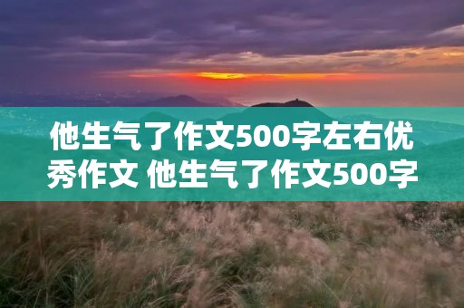 他生气了作文500字左右优秀作文 他生气了作文500字