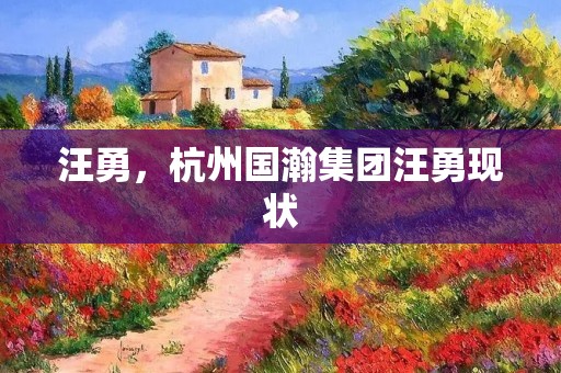 汪勇，杭州国瀚集团汪勇现状