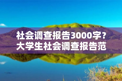社会调查报告3000字?大学生社会调查报告范文3000字