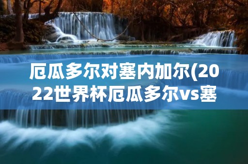 厄瓜多尔对塞内加尔(2022世界杯厄瓜多尔vs塞内加尔哪队强) 厄瓜多尔对塞内加尔(2022世界杯厄瓜多尔vs塞内加尔哪队强)
