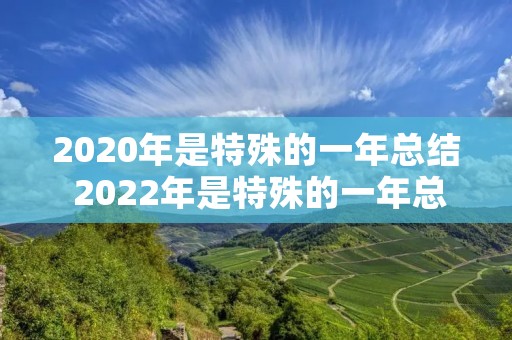 2020年是特殊的一年总结 2022年是特殊的一年总结五篇优秀 2020年是特殊的一年总结 2022年是特殊的一年总结五篇优秀