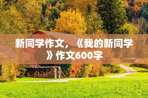 新同学作文,《我的新同学》作文600字