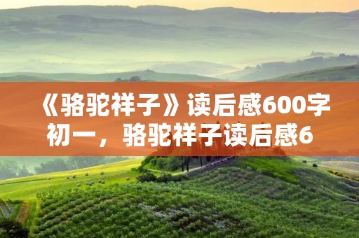 《骆驼祥子》读后感600字初一,骆驼祥子读后感600字 初一水平