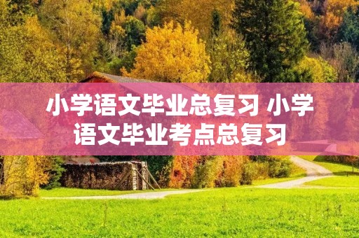 小学语文毕业总复习 小学语文毕业考点总复习 小学语文毕业总复习 小学语文毕业考点总复习
