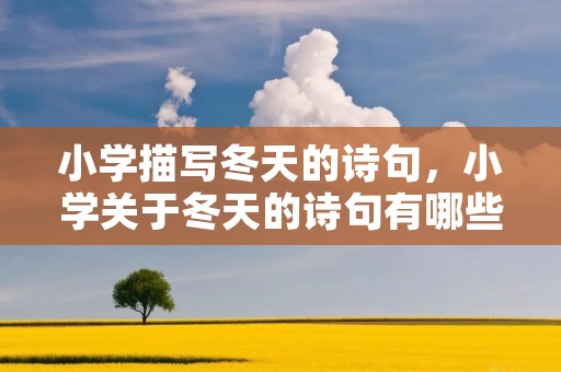 小学描写冬天的诗句,小学关于冬天的诗句有哪些