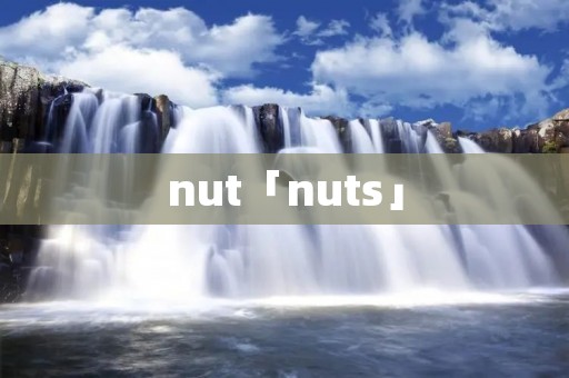 nut「nuts」
