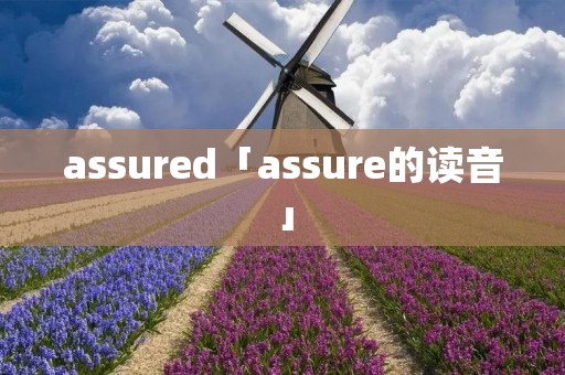 assured「assure的读音」
