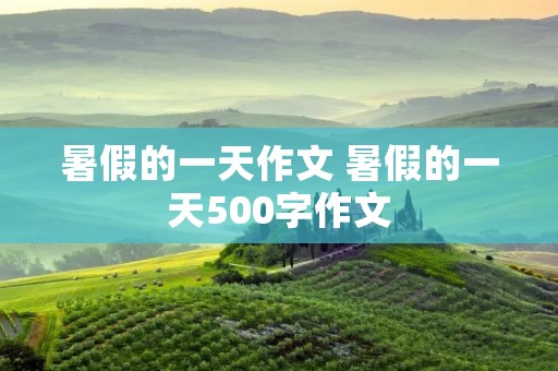 暑假的一天作文 暑假的一天500字作文
