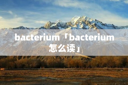 bacterium「bacterium怎么读」