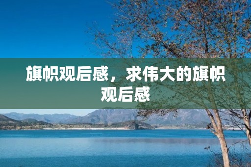 旗帜观后感,求伟大的旗帜观后感