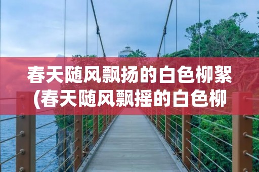 春天随风飘扬的白色柳絮(春天随风飘摇的白色柳絮是柳树的什么) 春天随风飘扬的白色柳絮(春天随风飘摇的白色柳絮是柳树的什么)