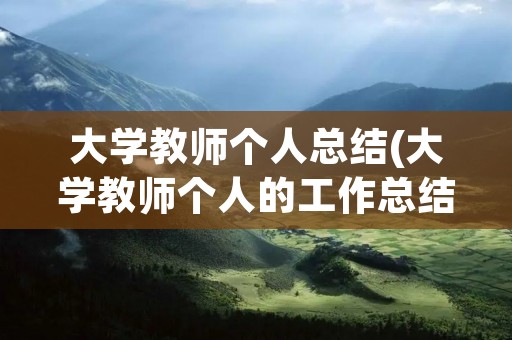 大学教师个人总结(大学教师个人的工作总结)