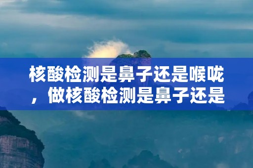 核酸检测是鼻子还是喉咙,做核酸检测是鼻子还是喉咙 核酸检测取样是鼻子里吗