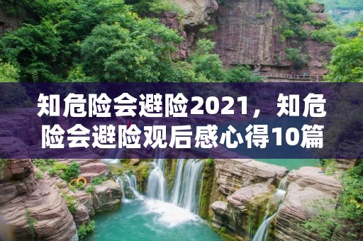 知危险会避险2021,知危险会避险观后感心得10篇
