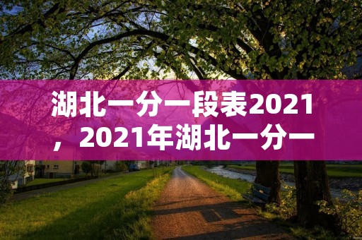 湖北一分一段表2021,2021年湖北一分一段表 湖北一分一段表2021,2021年湖北一分一段表