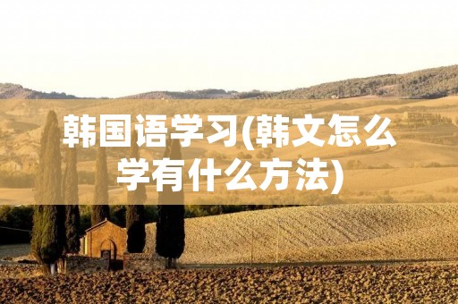 韩国语学习(韩文怎么学有什么方法) 韩国语学习(韩文怎么学有什么方法)