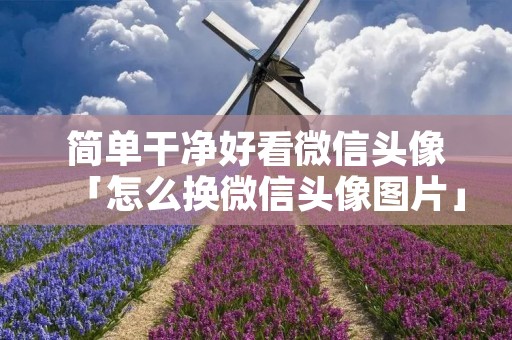 简单干净好看微信头像「怎么换微信头像图片」