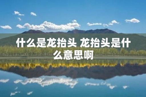 什么是龙抬头 龙抬头是什么意思啊