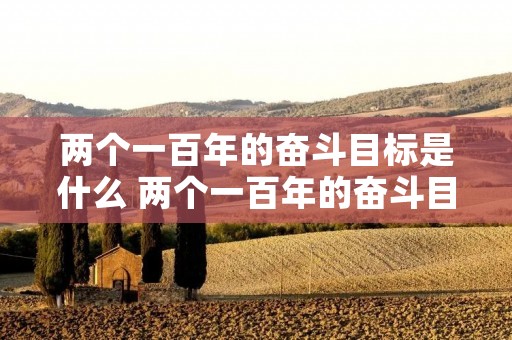 两个一百年的奋斗目标是什么 两个一百年的奋斗目标分别是什么