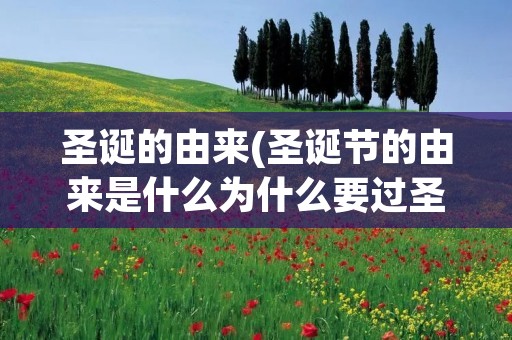 圣诞的由来(圣诞节的由来是什么为什么要过圣诞节)