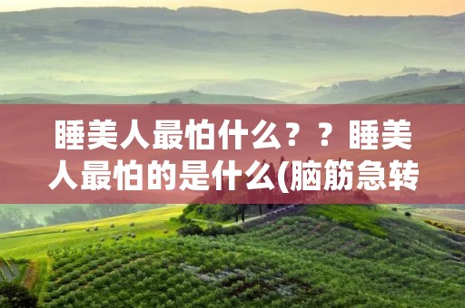 睡美人最怕什么？？睡美人最怕的是什么(脑筋急转弯)