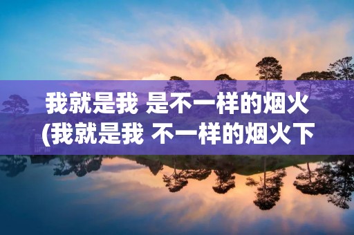 我就是我 是不一样的烟火(我就是我 不一样的烟火下一句是什么)